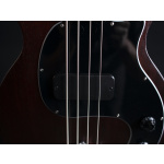 Gibson Bass10