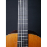 Alhambra Luthier India Classical04