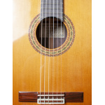 Alhambra Luthier India Classical10