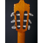 Alhambra Luthier India Classical13