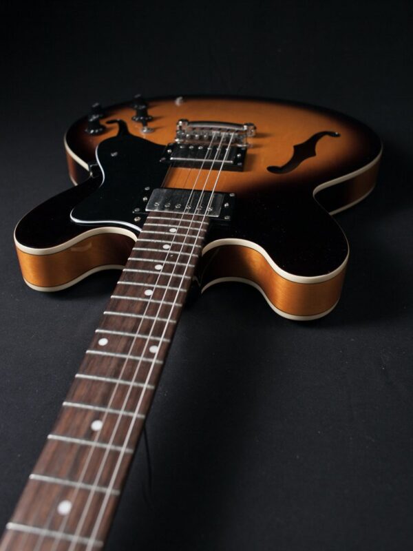 2013 Epiphone Dot VS / 335 | The Local Pickup