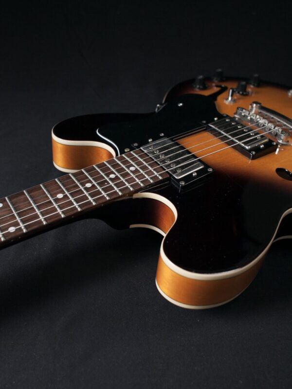 2013 Epiphone Dot VS / 335 | The Local Pickup