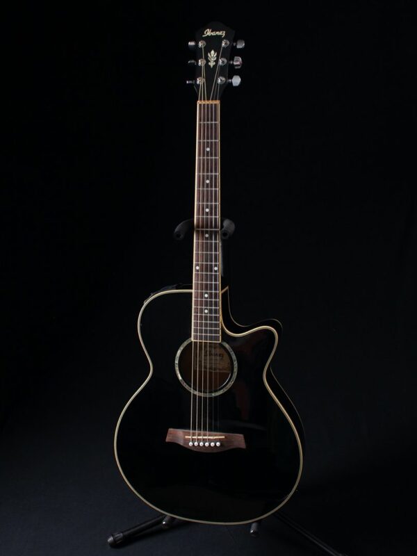 Ibanez AEG10-BK-14-03