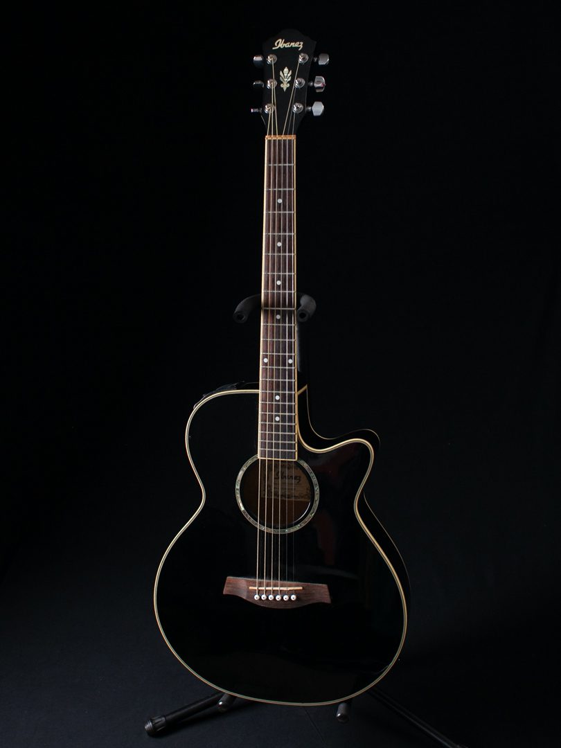 Ibanez AEG10-BK-14-03