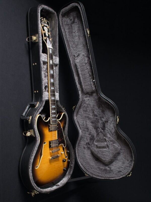 美品】D'Angelico Excel DC バリ虎 D'Angelico Excel DC Viola (208