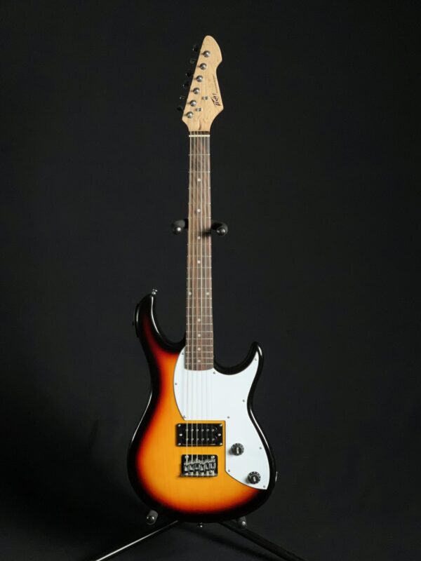 Peavey-Rockmaster-173