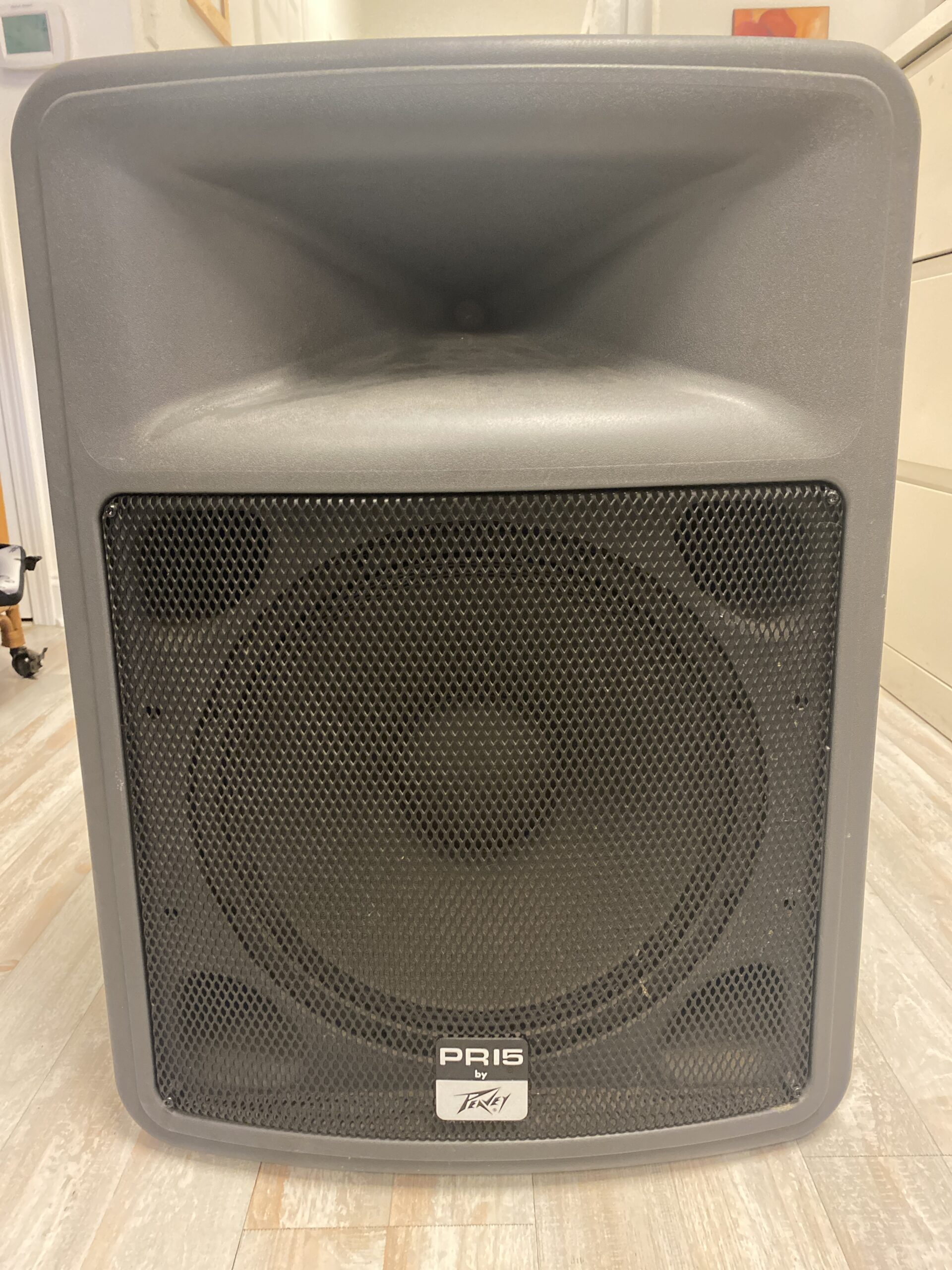 Peavey PR-15 Passive Speaker