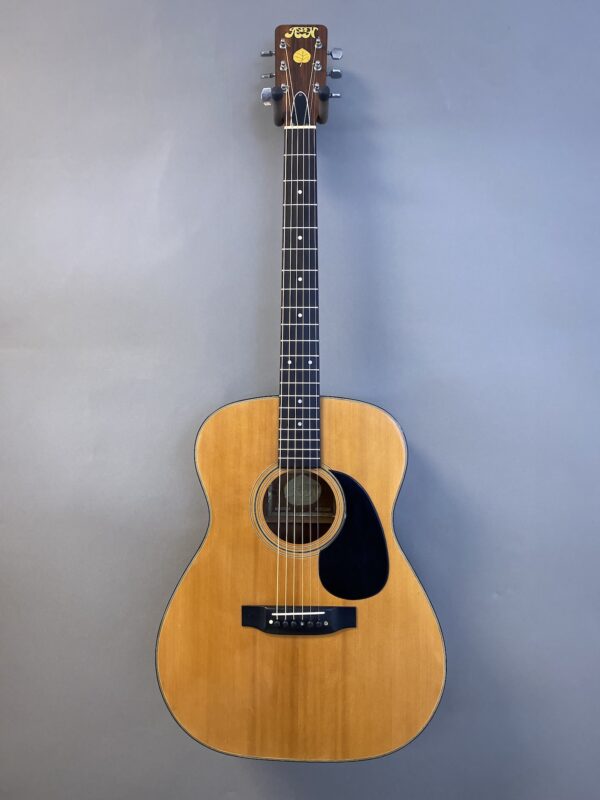 Aspen D25 Acoustic Guitar