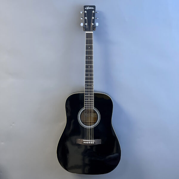 Ariana by Aria WGAGP-2LH BK Left-Handed Acoustic Guitar