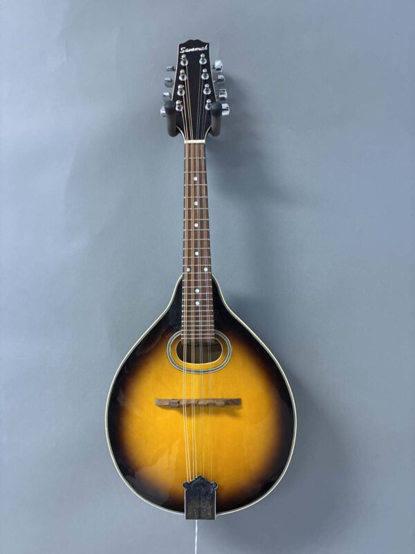 Savannah SA-110 Oval Hole Mandolin 6801133251215012 1