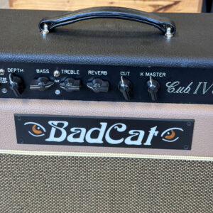 Bad Cat Club IV 30R Custom Designed Hand Wired Series Combo Amp - Image 4
