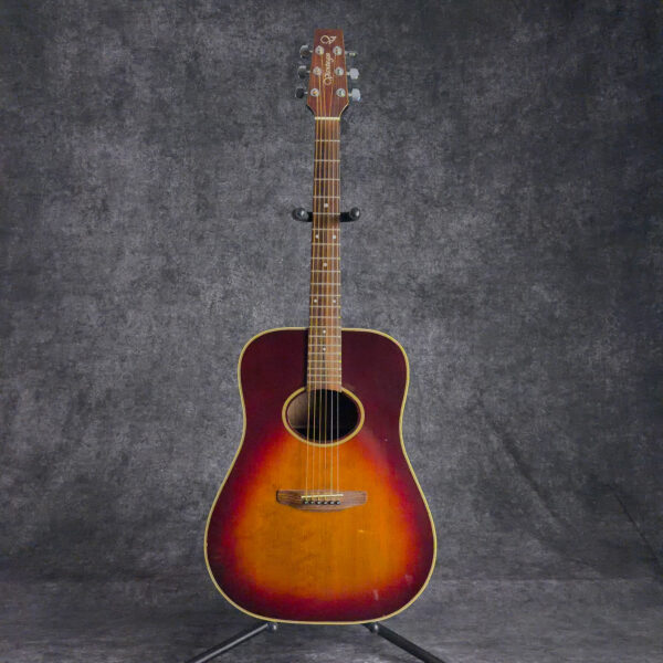 Vantage VA-30 ACS Acoustic Guitar