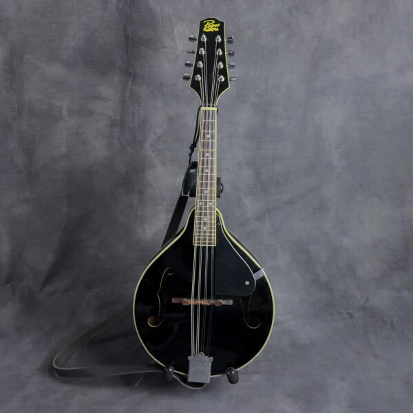Rogue RM-100A Mandolin