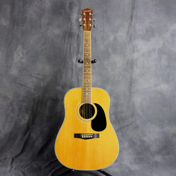 2009 Starcaster by Fender Model 0910104125 Acoustic Guitar