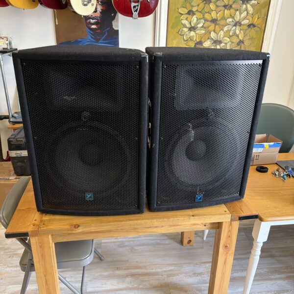 Yorkville YX150 Passive PA Speaker Pair